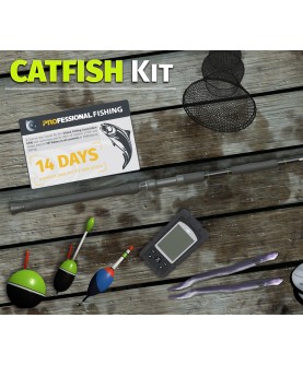 Professional Fishing - Catfish Kit DLC Steam Key GLOBAL